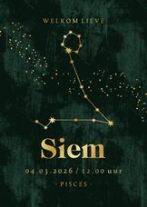Stijlvol geboortekaartje sterrenbeeld vissen goud spetters
