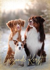 Stijlvolle zakelijke fotokaart gezonde kerst goudlook honden