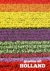 Tulpen kleurenpalet - bloemenkaart