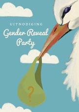 Uitnodiging gender reveal party met illustratie van ooievaar