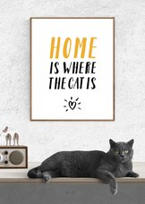Uitnodiging Home is where the cat is