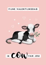 Valentijnskaart cow van jou koe liefde hartjes foto