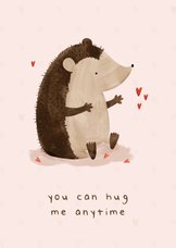 Valentijnskaart you can hug me anytime egeltje knuffel