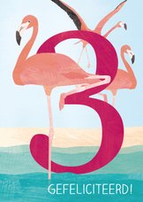 Verjaardag flamingo 3 jaar
