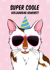 Verjaardagskaart coole kat met zonnebril