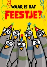 Verjaardagskaart duiven 'waar is dat feestje?'