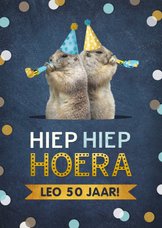 Verjaardagskaart grappige marmotten met feesthoedjes