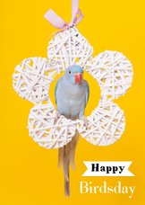 Verjaardagskaart - Happy Birdsday