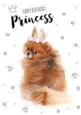 Verjaardagskaart - Happy birthday princess