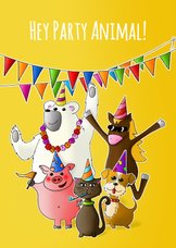 Verjaardagskaart hey party animal