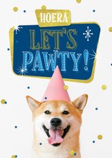 Verjaardagskaart hond feest humor confetti goud