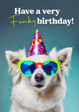 Verjaardagskaart hond met funky bril en hoedje humor