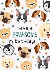 Verjaardagskaart honden, confetti Have a Paw-some birthday!