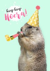 Verjaardagskaart marmot met feesthoedje en toeter