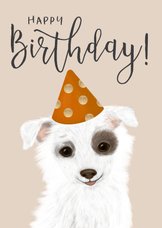 verjaardagskaart met lief hondje met feestmuts