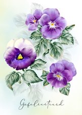 Verjaardagskaart met paarse violen