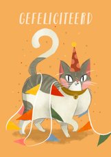 Verjaardagskaart ondeugende kat