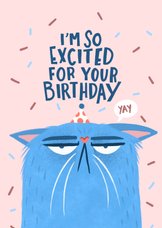 Verjaardagskaart sarcastische grumpy kat