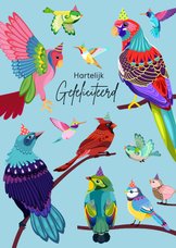Vrolijke en kleurrijke verjaardagskaart met een groep vogels