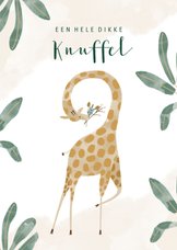 Vrolijke kinderkaart jungle met giraf en dikke knuffel