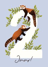 Vrolijke verjaardagskaart 2 jaar met rode panda's