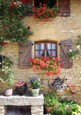 Wenskaart bloemen huis Frankrijk