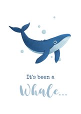 Wenskaart missen lang geleden afspreken whale walvis