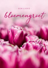 Zomaar kaart roze tulpen een lieve bloemengroet