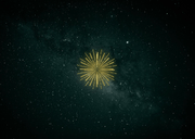 Fijne kerst gelukkig 2027 kerstkaart vuurwerk sterren foto's Achterkant