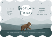 Geboortekaartje beren familie broertje schattig dieren maan Achterkant