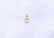 Geboortekaartje jongetje met vintage konijntje met bloemen Achterkant