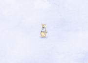 Geboortekaartje jongetje met vintage konijntje met bloemen Achterkant