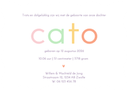 Geboortekaartje lila blokjes met gekleurde naam wave Achterkant