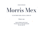 Golvend geboortekaartje met blauwe waterverf en hartjes Achterkant