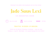 Hip lila colorblocking geboortekaartje meisje golvende rand Achterkant