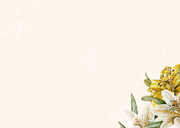 Jubileumkaart witte en gele lelies goudfolie Achterkant