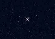 Kerstkaart foto pinguïn winter sneeuw sterren feestdagen Achterkant