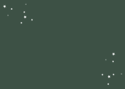 Kinderfeestje foto cupcake goud hip sterretjes Achterkant