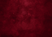 Save the date uitnodiging tuinfeest lampjes rood goud Achterkant