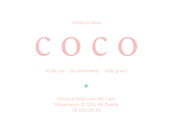 Trendy geboortekaartje turquoise roze overgang golf vorm Achterkant