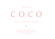 Trendy geboortekaartje turquoise roze overgang golf vorm Achterkant