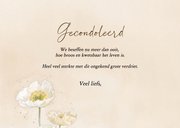 Beige condoleancekaart met waterverf witte klaprozen 3