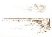 Condoleancekaart sepia illustratie zee en strand 2