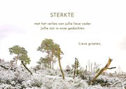 Condoleancekaart winterlandschap 3