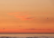 Condoleancekaart zonsondergang Noordzee meeuw gecondoleerd 2
