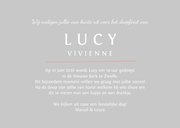 Doopkaart uitnodiging foto duifje roze 3