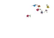 Driewieler met vele bloemen 3