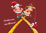 Een verrekt grappige kerstkaart met twee giraffen 3