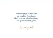 Familie foto kerstkaart blauw met takken 3