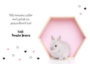 Felicitatie kaart - Geboorte - Lief konijntje roze hartjes 3